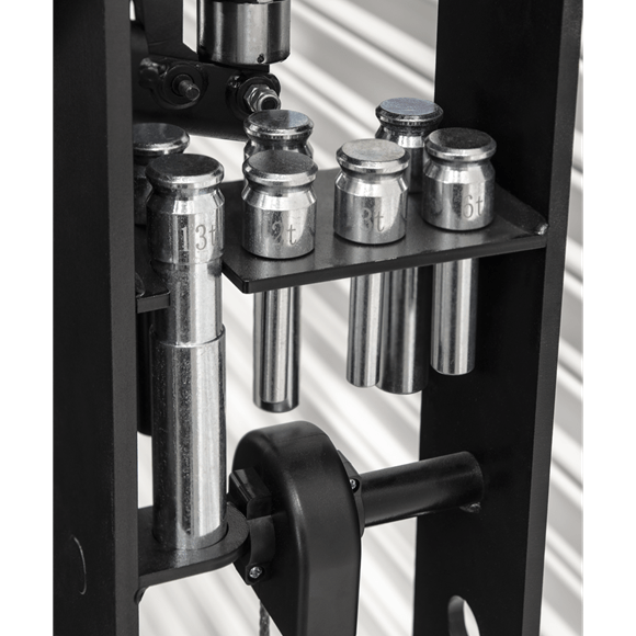 PPF30S_ACT_PRESS_PINS_DFC1168919.png